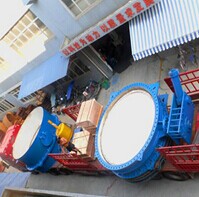 重錘保壓蝶閥、水輪機(jī)進(jìn)水閥
